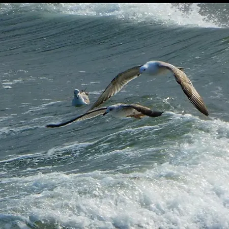 Sunrise Апартамент